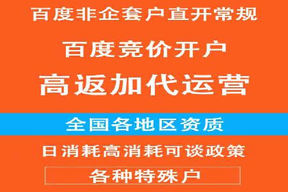 百度竞价广告运营的技巧与误区：成功案例解析